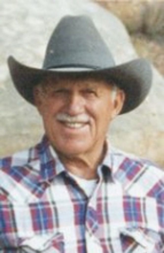 Vernon H. Crane