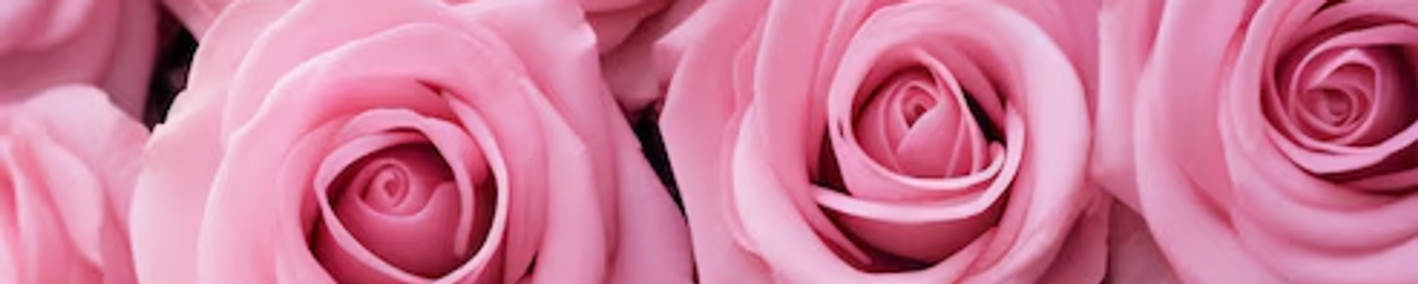 Cover for Nelly Arroyo Lopez's Obituary