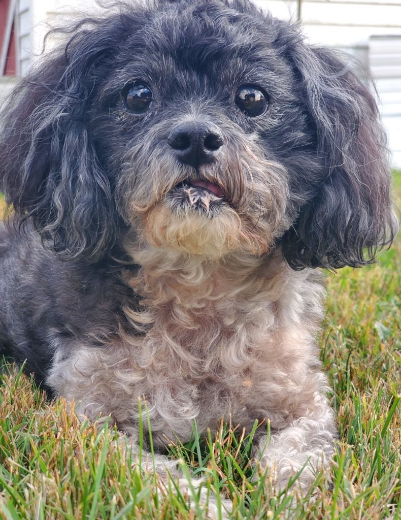 Bently Pennington Profile Photo