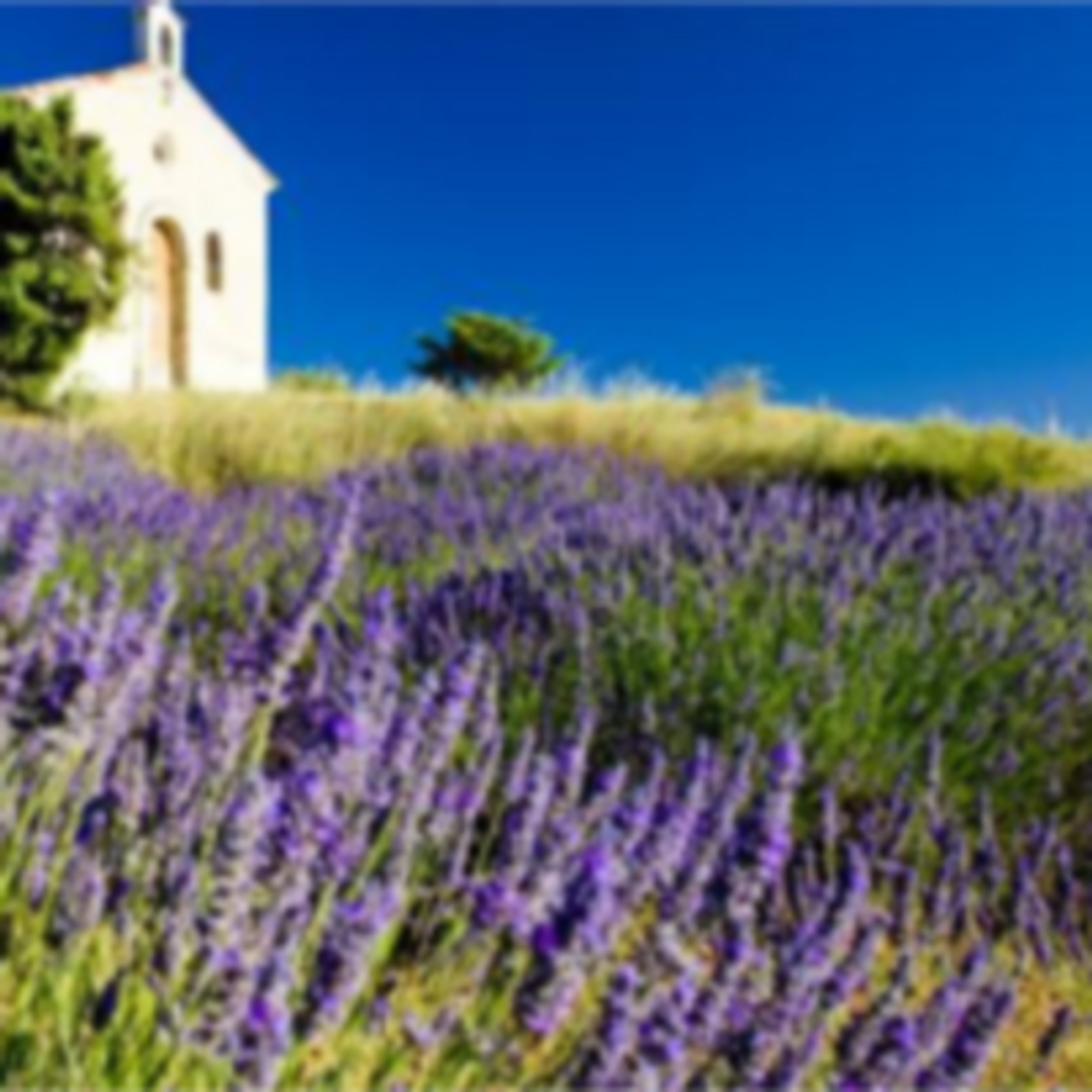 Katherine May Mccreary