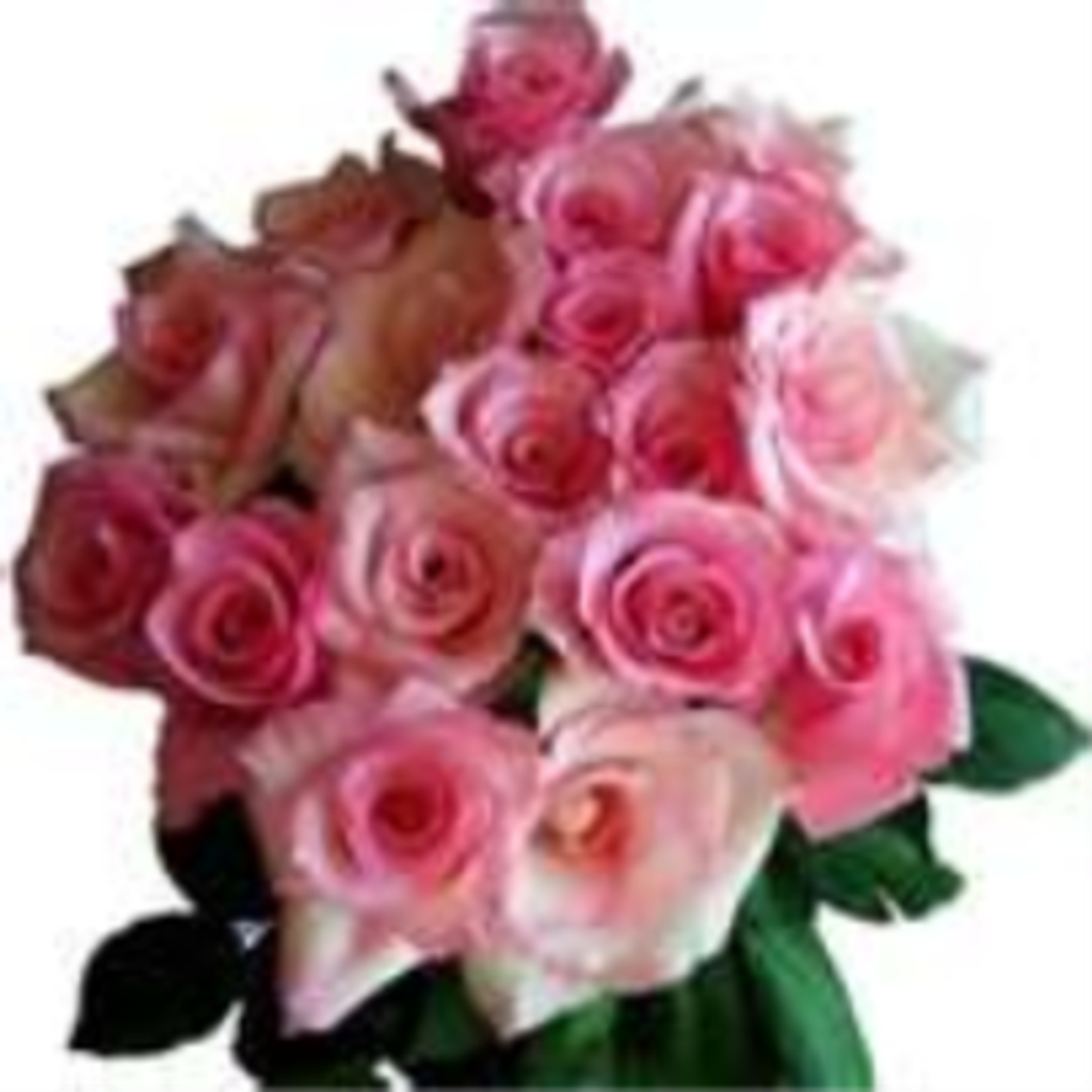 Shirley Deberg Profile Photo