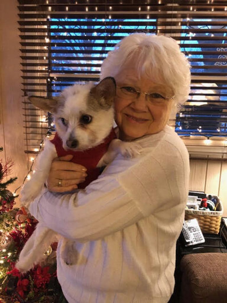 Elaine D. Howes (Nee Carlson) Profile Photo