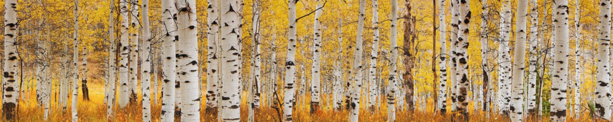 Cover photo for Norbert V. DeByle's Obituary