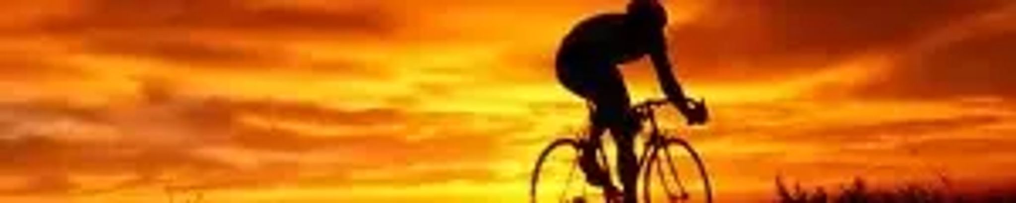 Cover for David Nokes Jr.'s Obituary