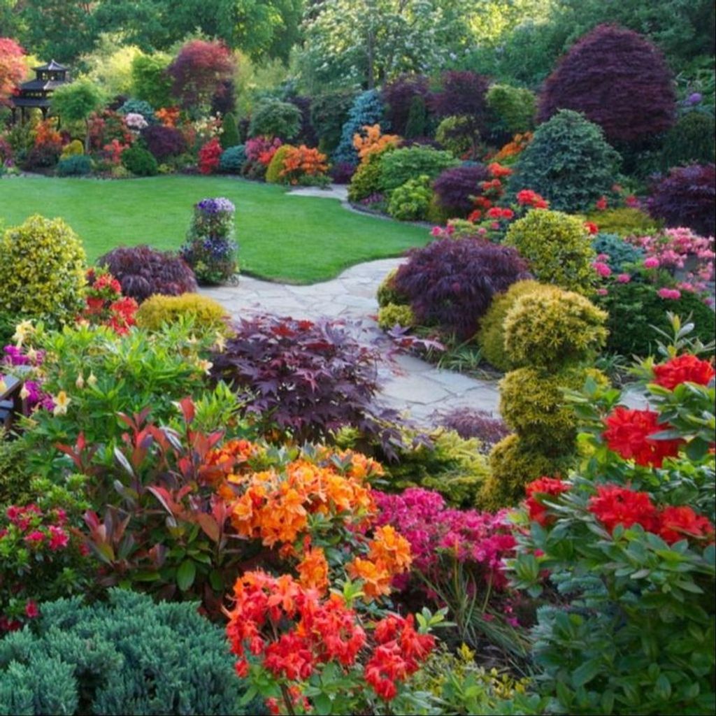 Amber A. Fisch Profile Photo