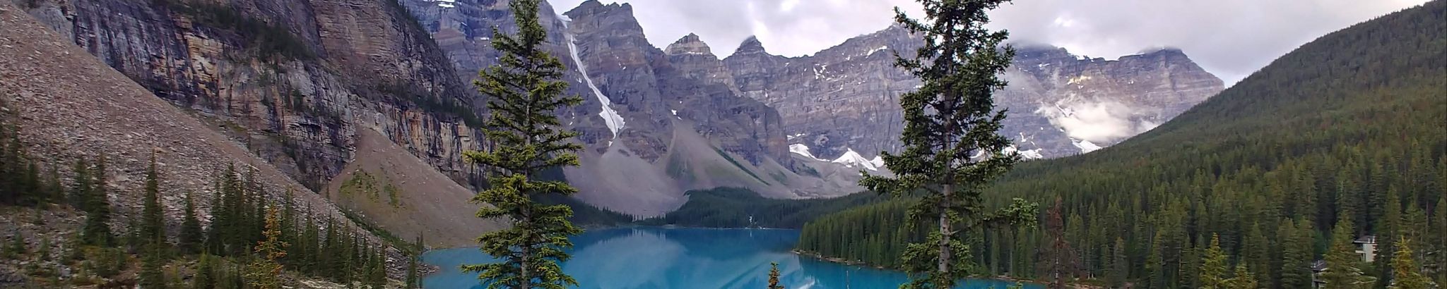 Cover for Lynn Marie Davis's Obituary