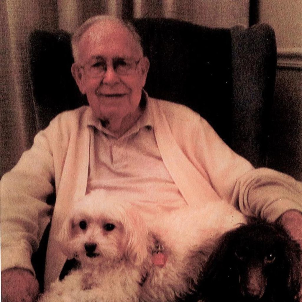 Alexander M Robertson
