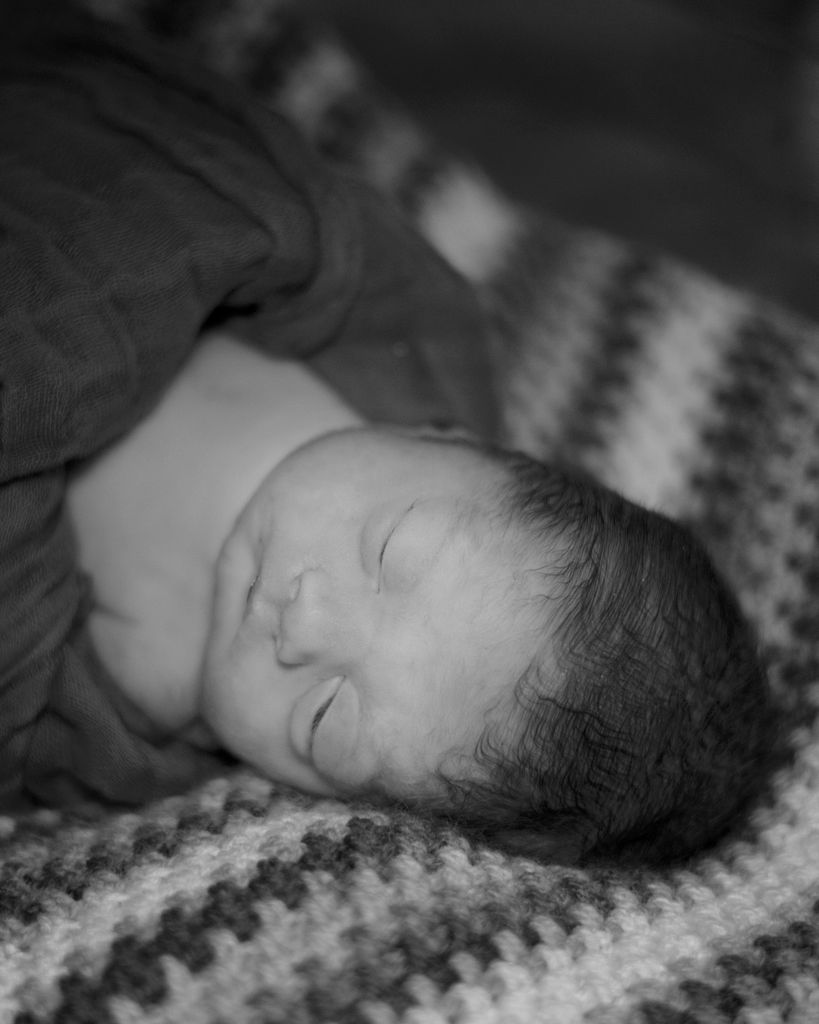 Aiden Bradley Lohr Profile Photo