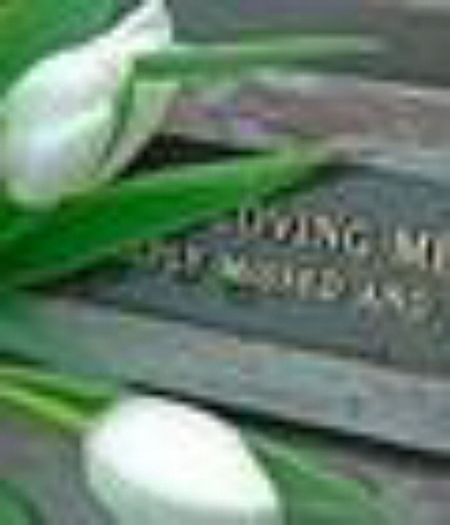 Florene Grenz