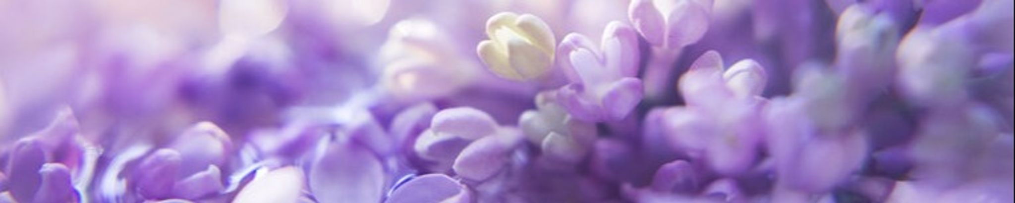 Cover photo for Imelda Ronquillo's Obituary
