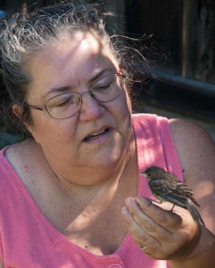 Lynne Foringer Profile Photo