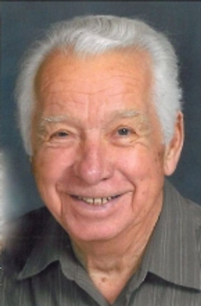 Robert J Bevilacqua