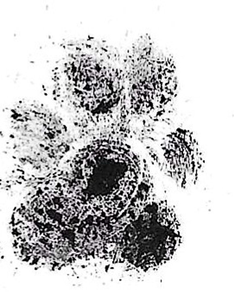 Bryce Patrick Gordon Profile Photo