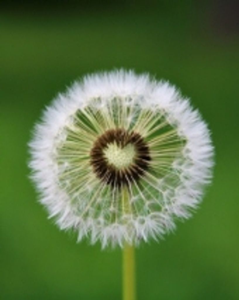 Margaret Mrs. O'Neal