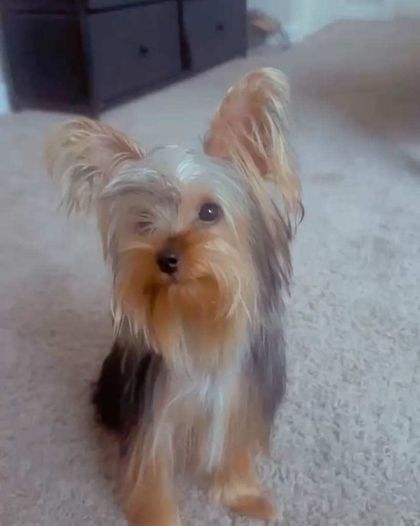 Lola Williams Profile Photo