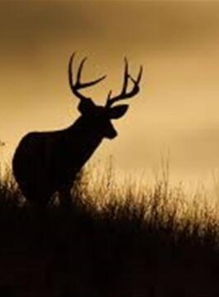 Jonathon Eric Barrett