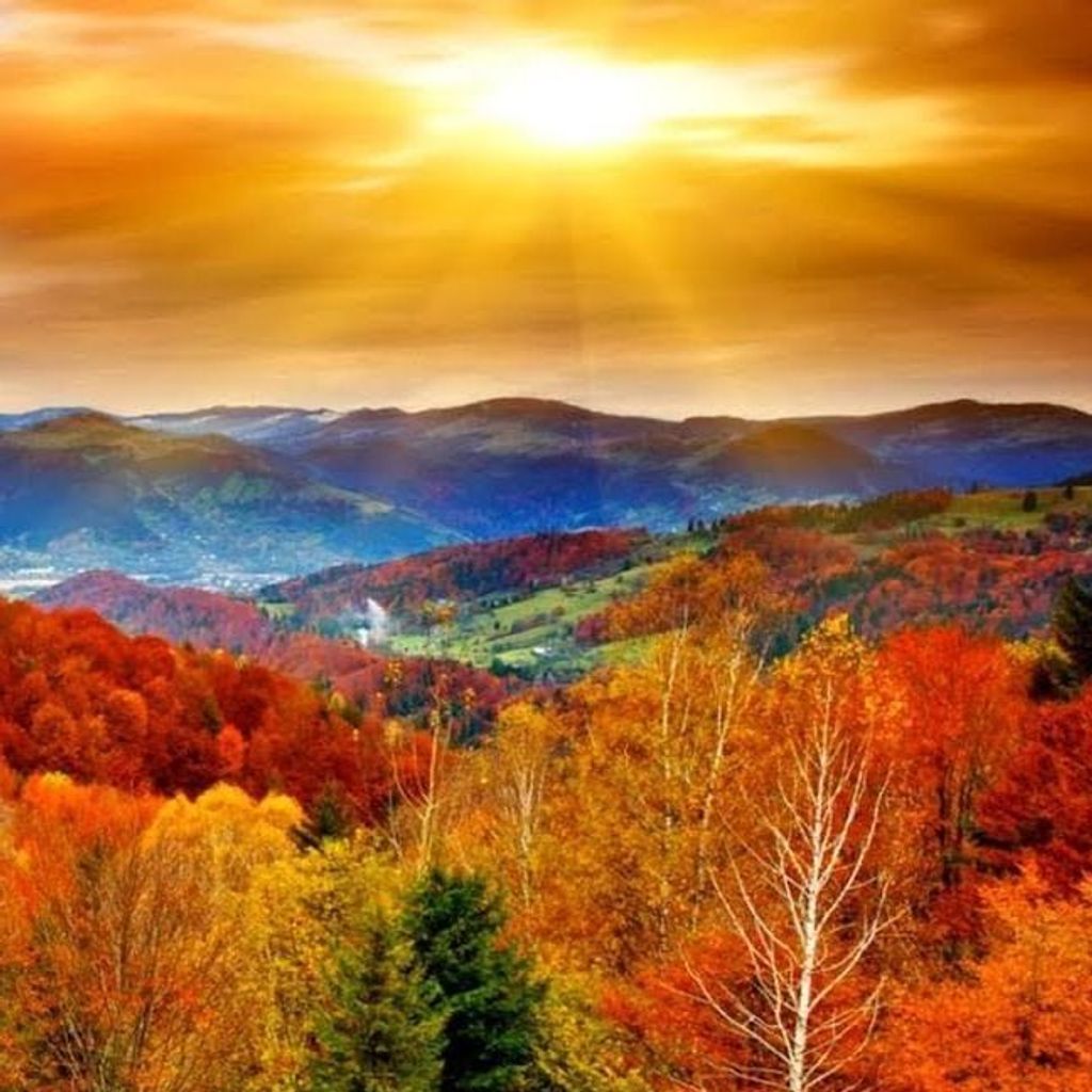 Stephen Erb Profile Photo