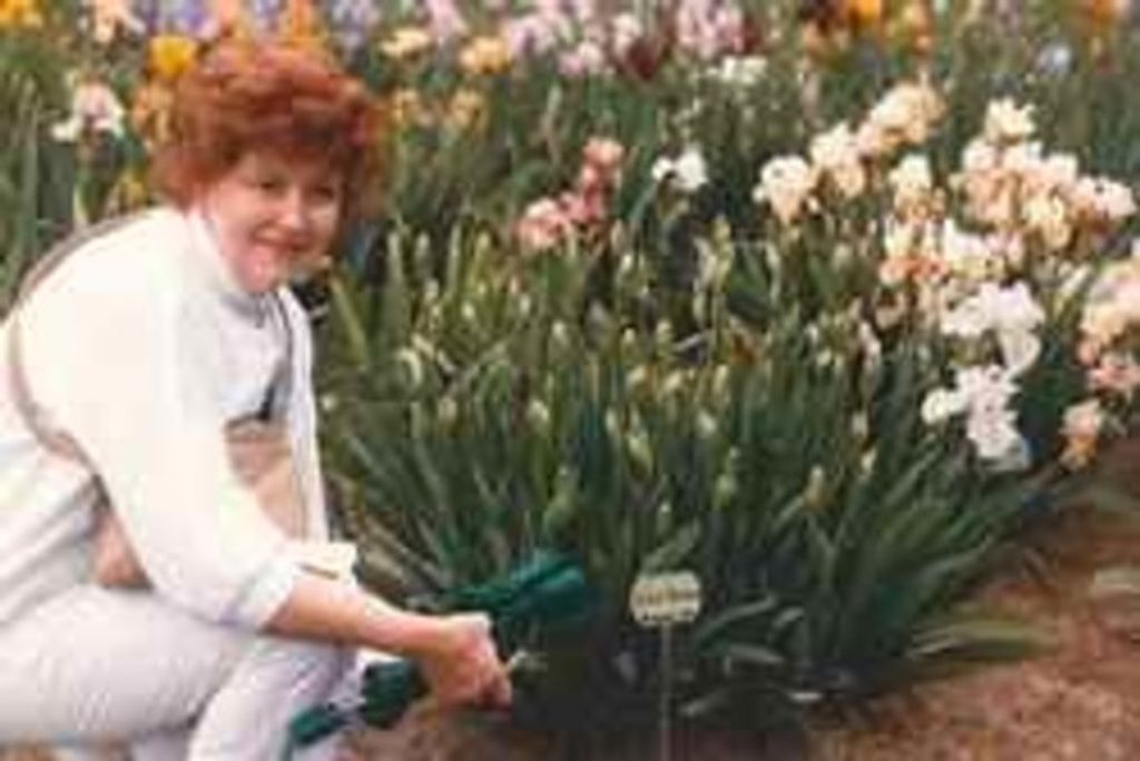 Mary Frances Jenkins