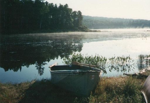 David Watson photo gallery thumbnail 15 of 19