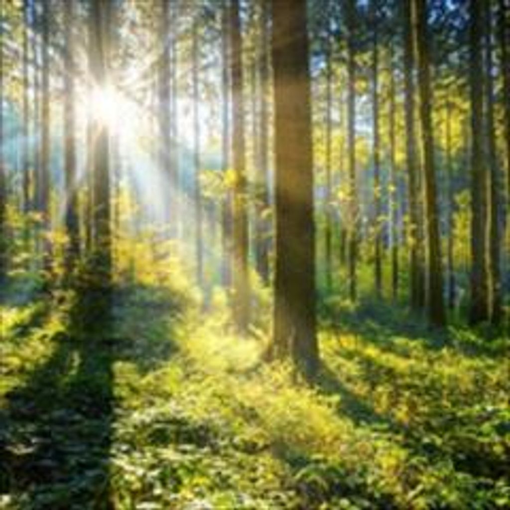 Emmanuel Woun-Quelleh Baxter Profile Photo