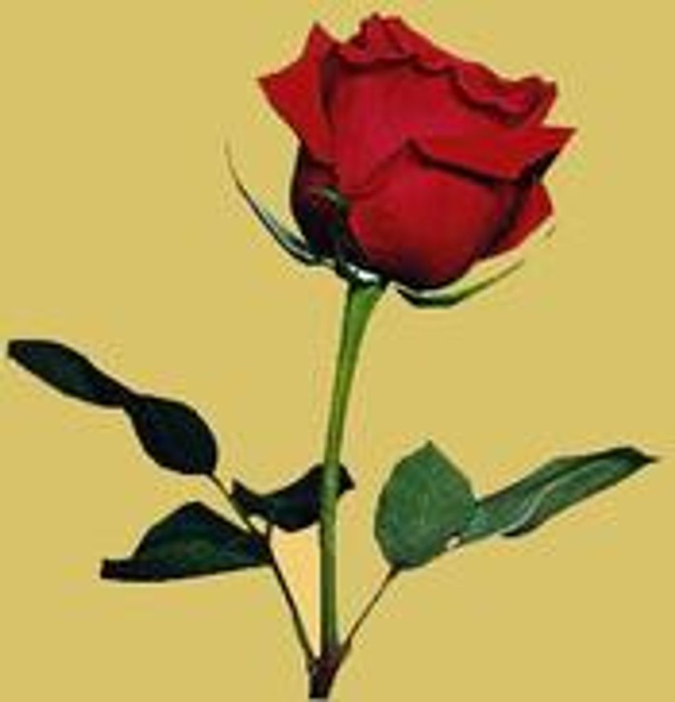 Richard D. "Gonzo" Sublett