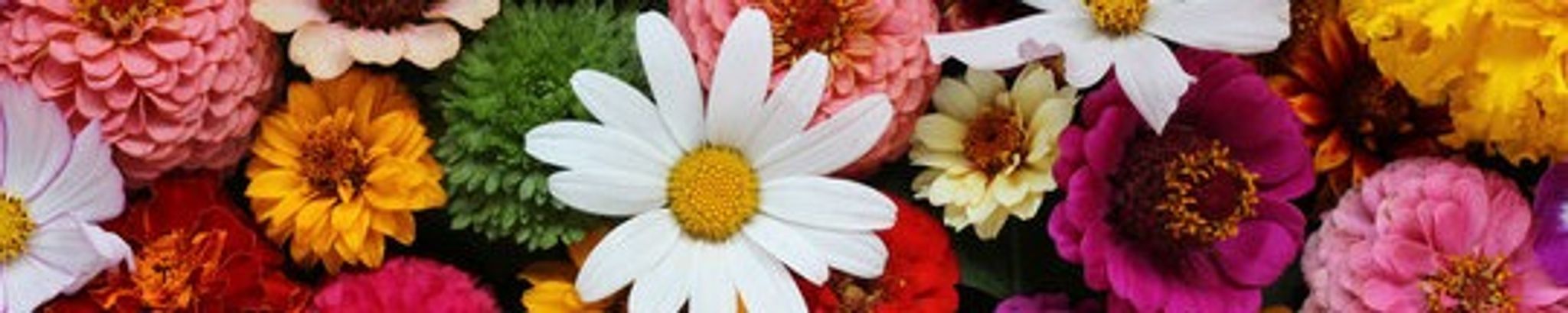 Cover photo for Zoraida Martinez's Obituary
