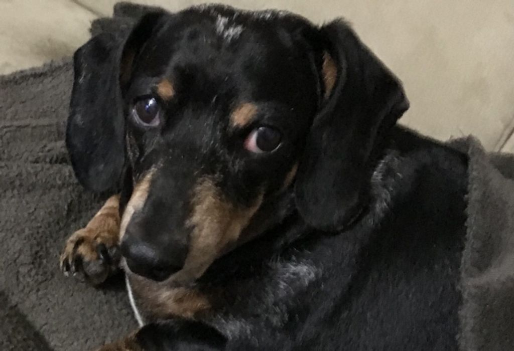 Maggie Lasko Profile Photo