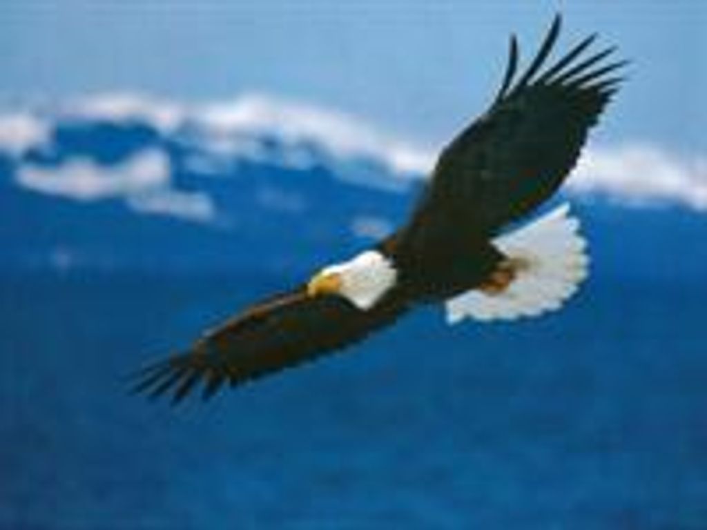 Richard Lenz Profile Photo