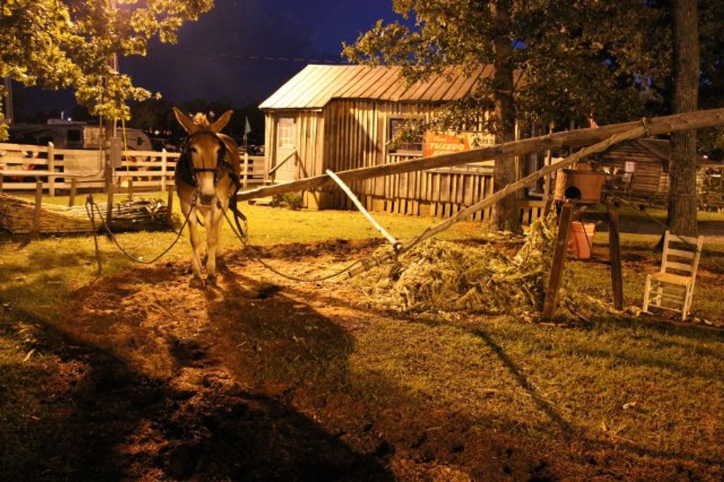 Raymond Dobson Evans