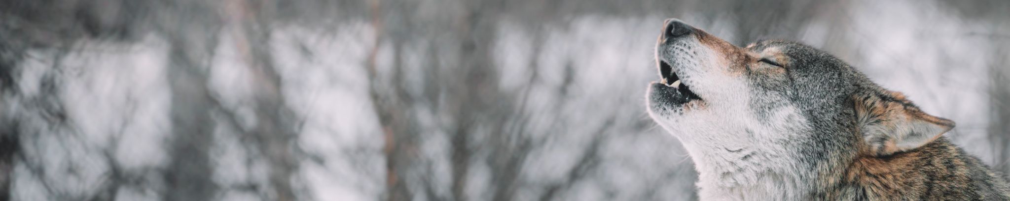 Cover photo for Richard M. Berry's Obituary