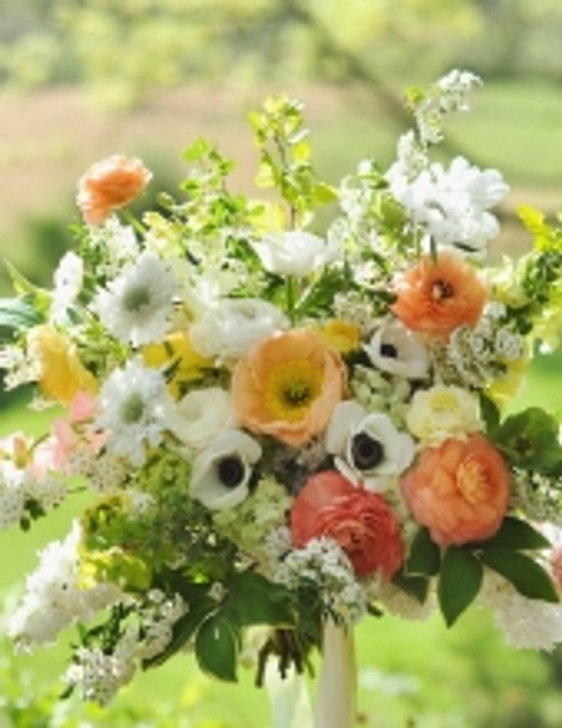 Cynthia Elaine Woods