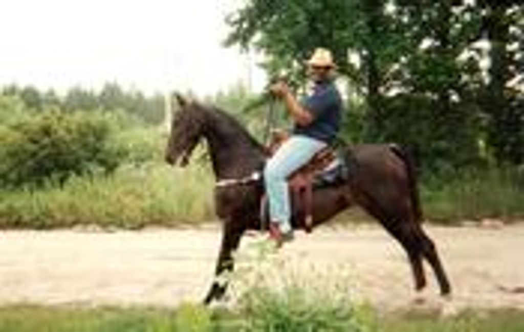 Tyrone Henry Britt Profile Photo