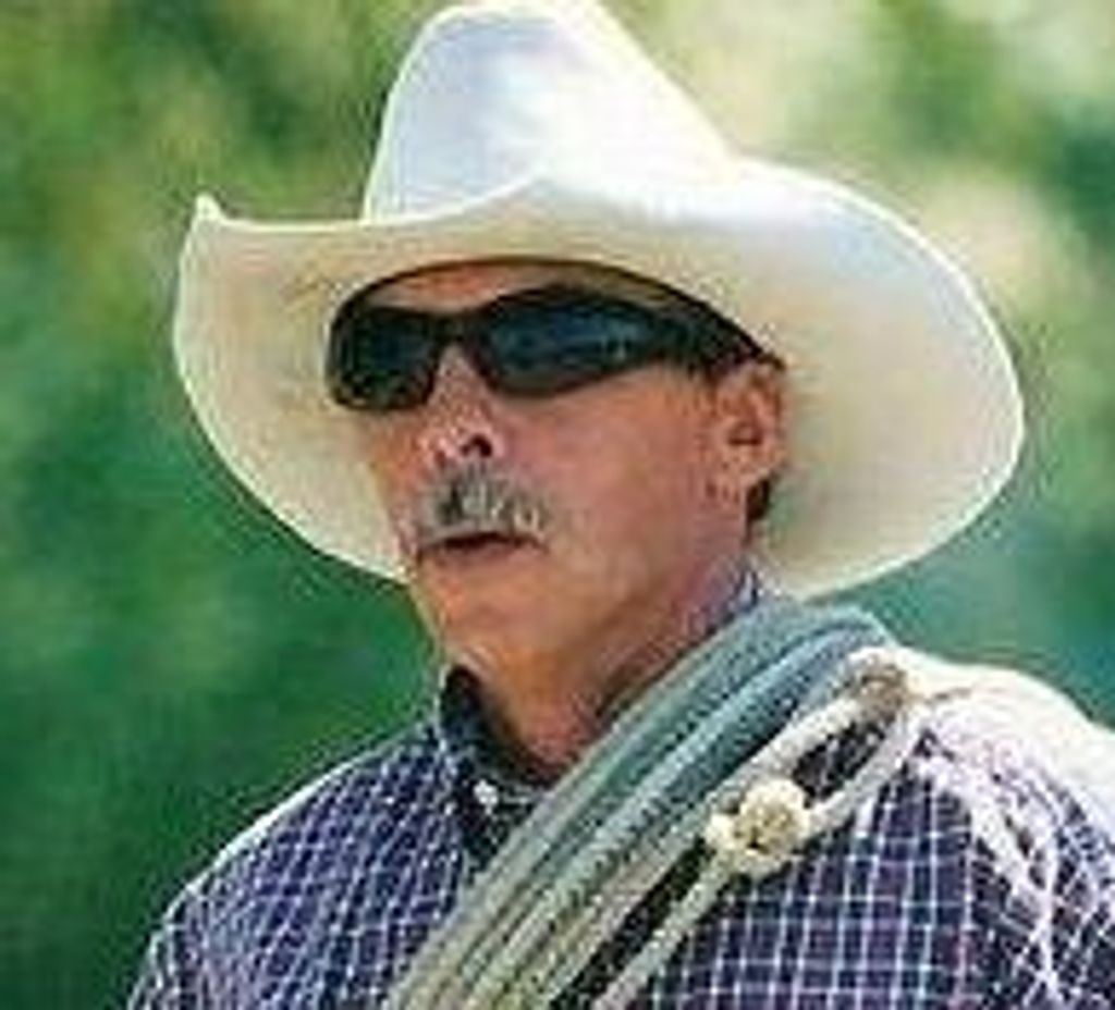 Corby Cook Profile Photo