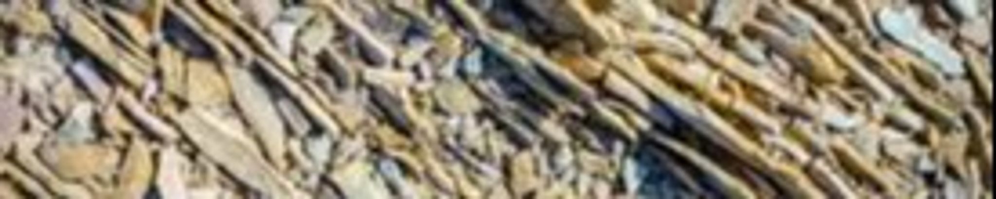 Cover for Dr. Samuel "Sam" Sterrett Harrison's Obituary