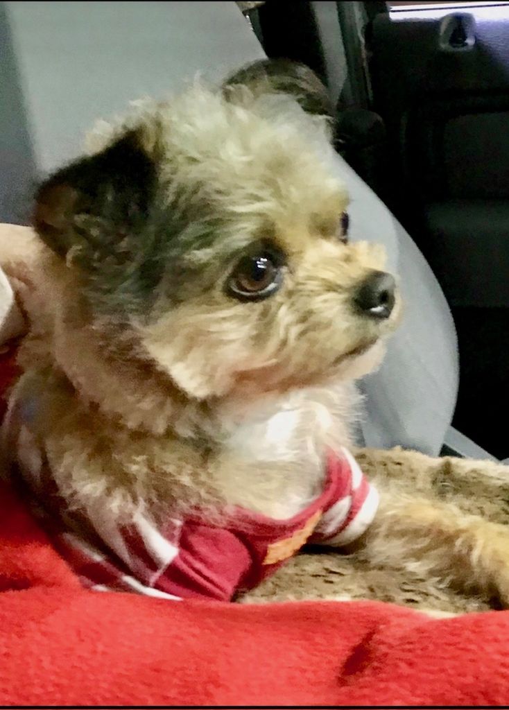 Mayzie Belle Wright Profile Photo
