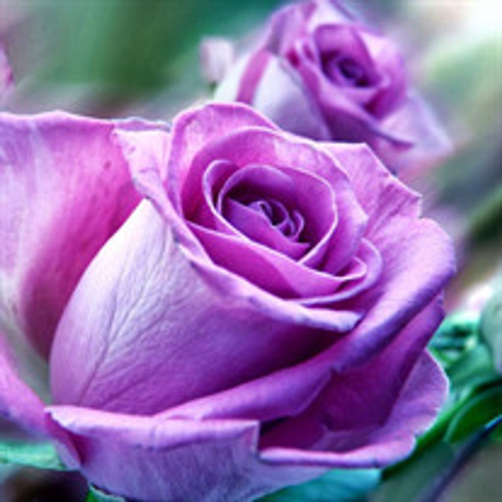 Margaret "Peggy" M. Abplanalp