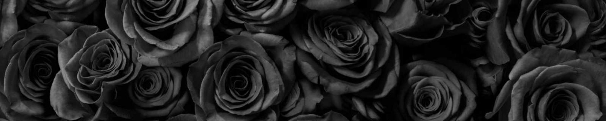 Cover photo for Melanie Courtney Sylvestre's Obituary