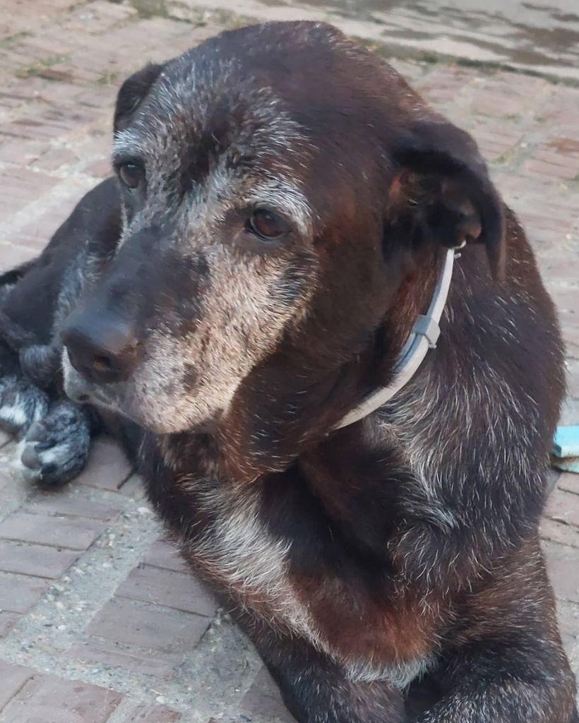 BaLou Pearson Profile Photo