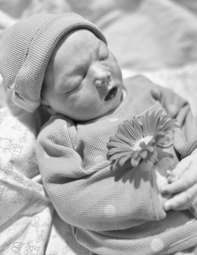 Lillian Rosaria Demeulenaere Profile Photo