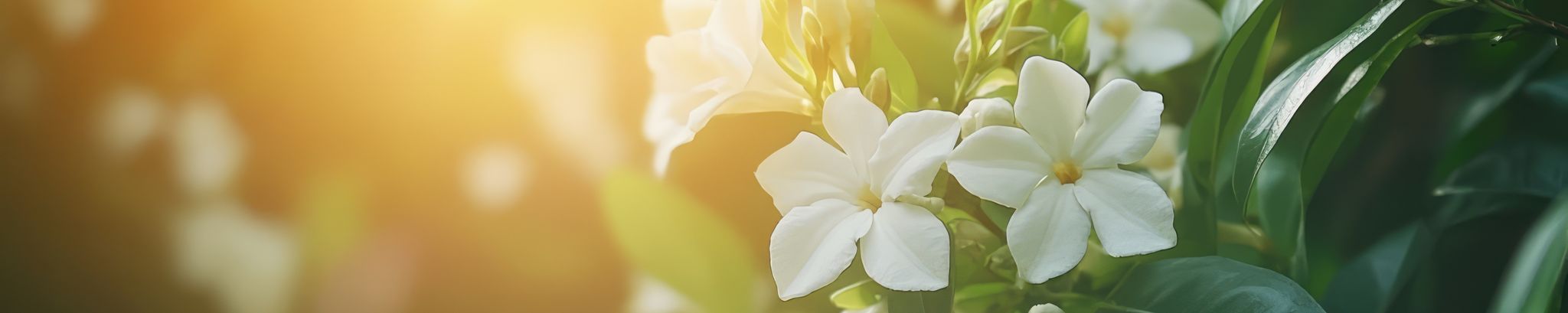 Cover photo for Eduardo Ariate's Obituary
