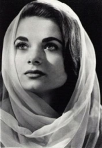Suzanne Mccormick photo gallery thumbnail 1 of 1