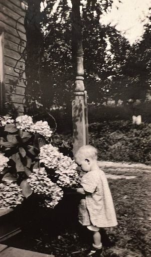 Rose (Goff)  Howard photo gallery thumbnail 53 of 63
