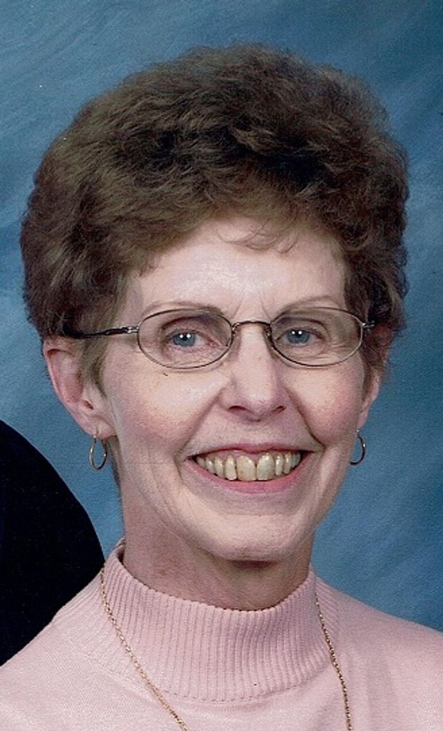 Joyce Elaine (Falk)  Aspinall