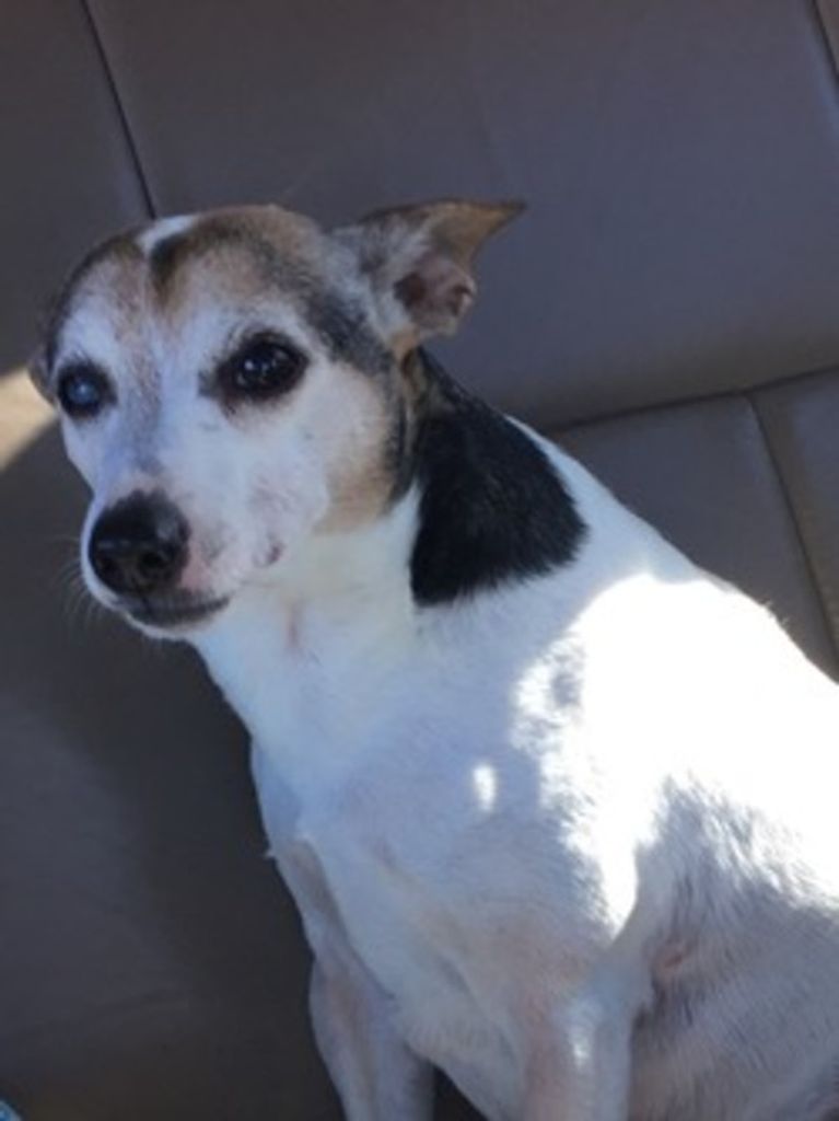 Roscoe Jones Profile Photo