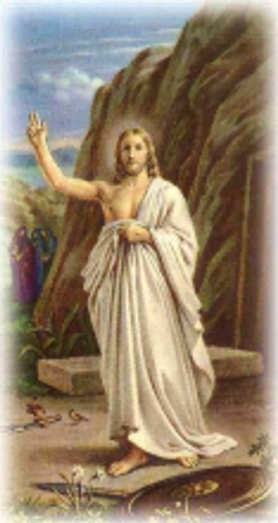 Merrill  Edwin Woolf