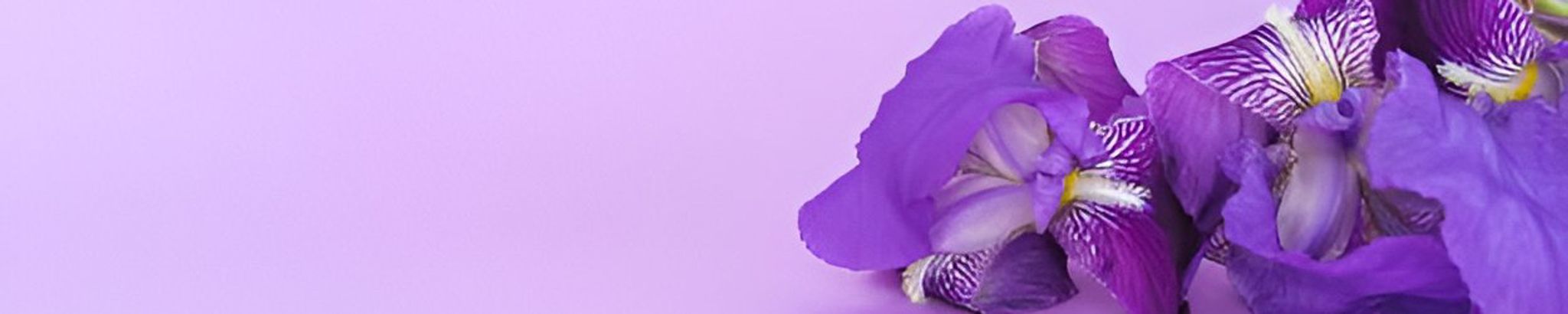 Cover photo for Elizabeth R. Schupbach's Obituary