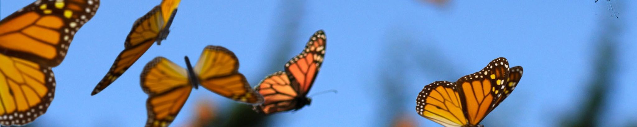 Cover photo for Hannah Marie Knight's Obituary