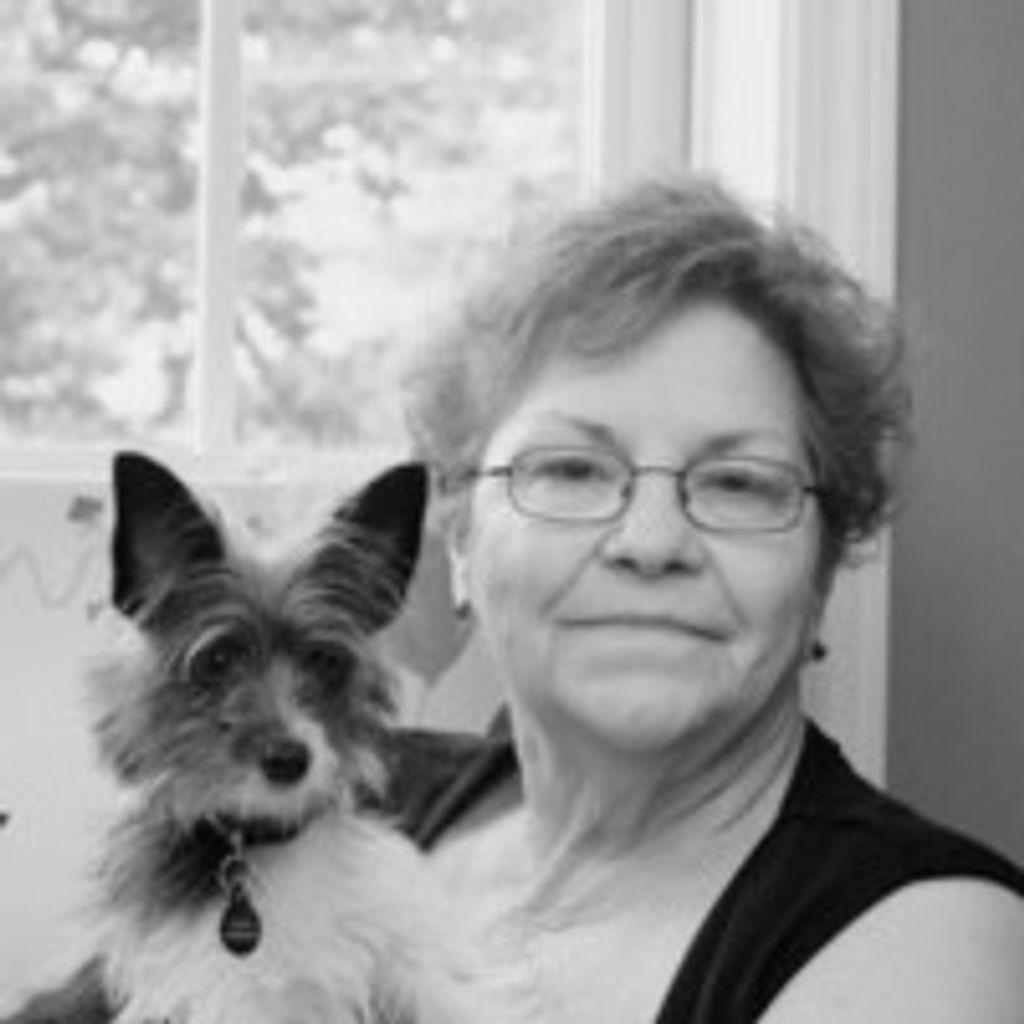 Jane Wilson Profile Photo