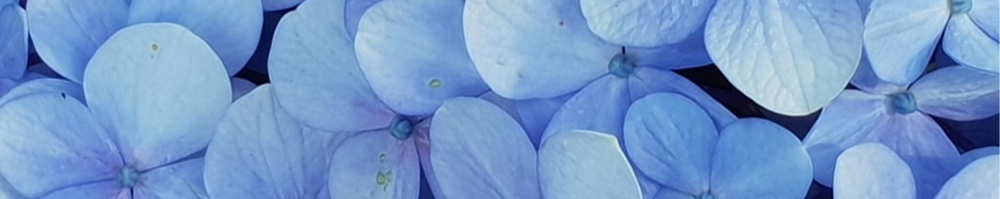 Cover photo for Kathleen F. (Hughes) Schloth's Obituary