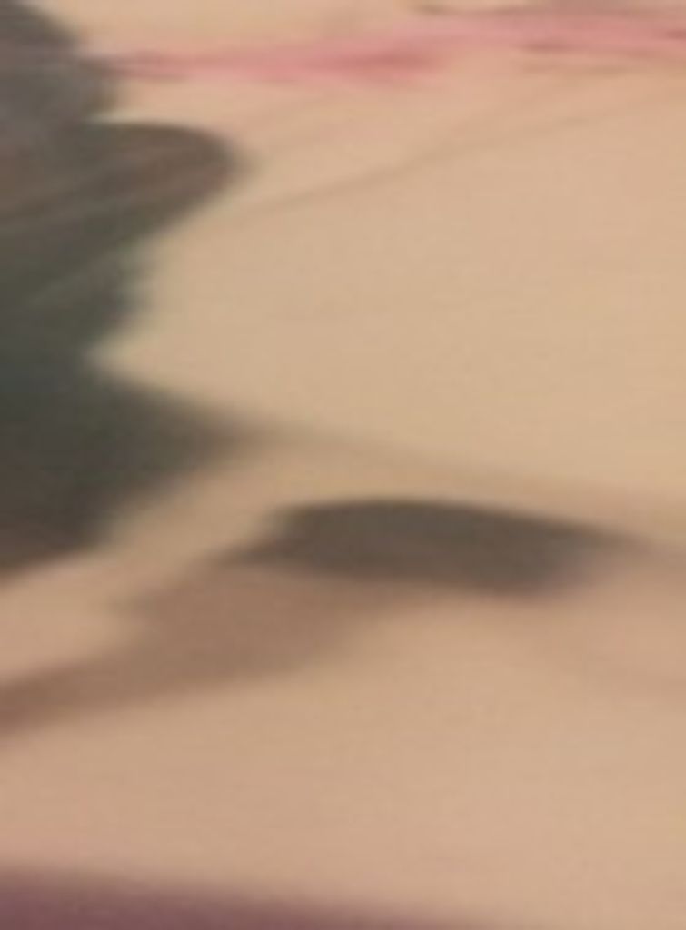 Leslie Mclean Profile Photo